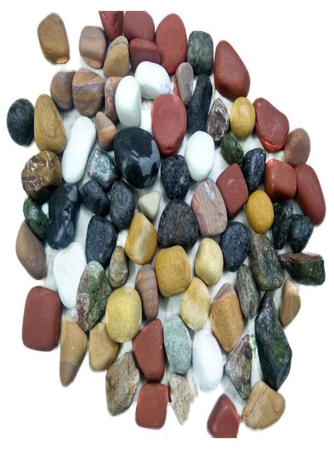 Maalavya Multi-Color (River Stone + Unpolished Tumble) Mixed for |Garden & Home Decor|Aquarium Decoration| (3 Kg, 1 to 3 inch)